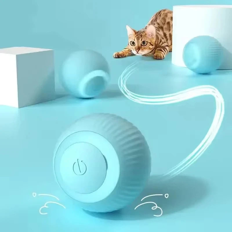 PurrChase Ball