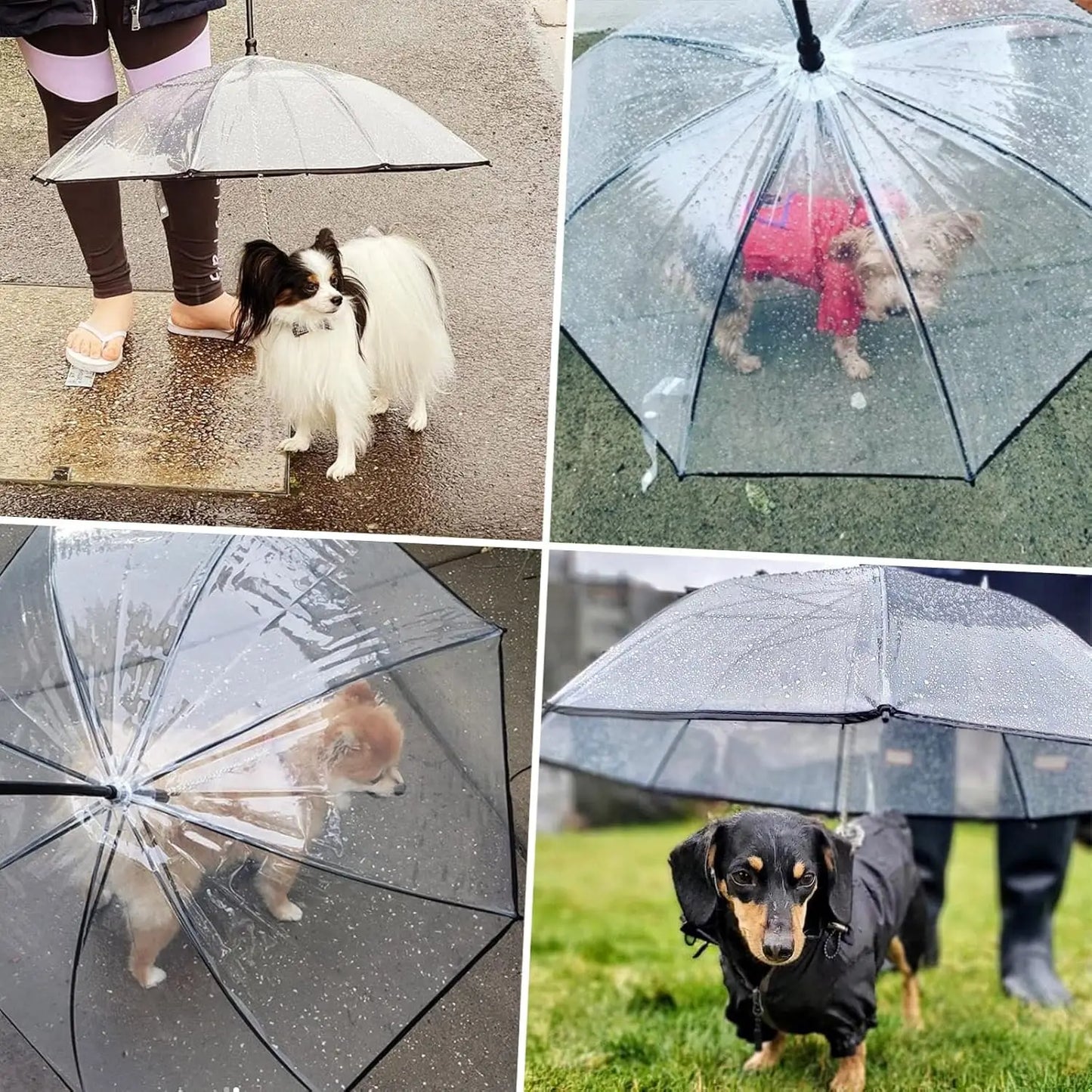 PawBrella Walker