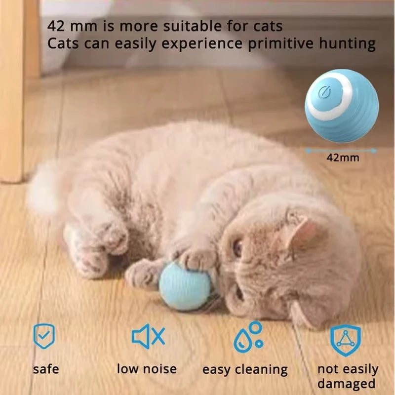 PurrChase Ball