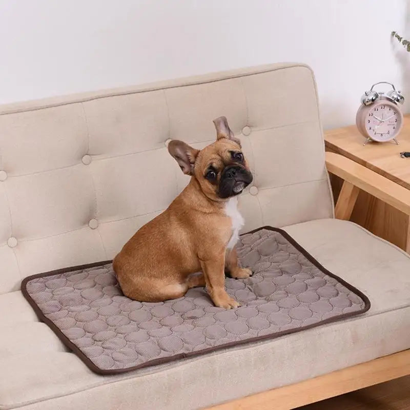 ChillPaw Mat