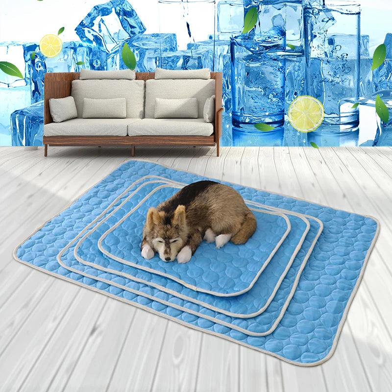 ChillPaw Mat