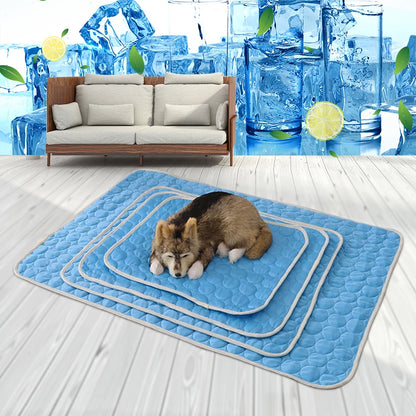 ChillPaw Mat