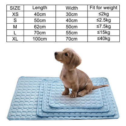 ChillPaw Mat