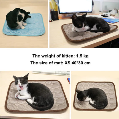 ChillPaw Mat