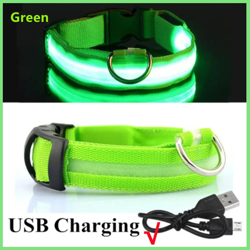 NightGlow Pet Collar