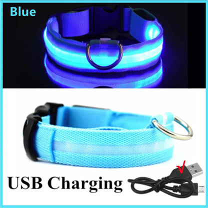 NightGlow Pet Collar