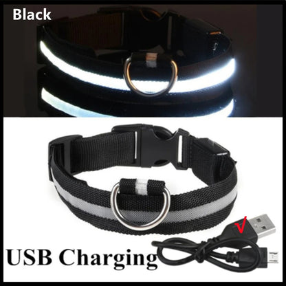NightGlow Pet Collar