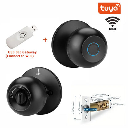 SecureTouch Smart Lock