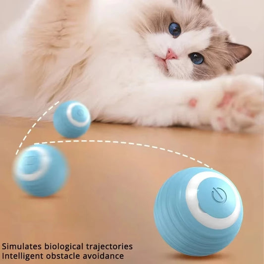 PurrChase Ball