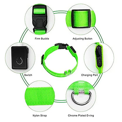 NightGlow Pet Collar