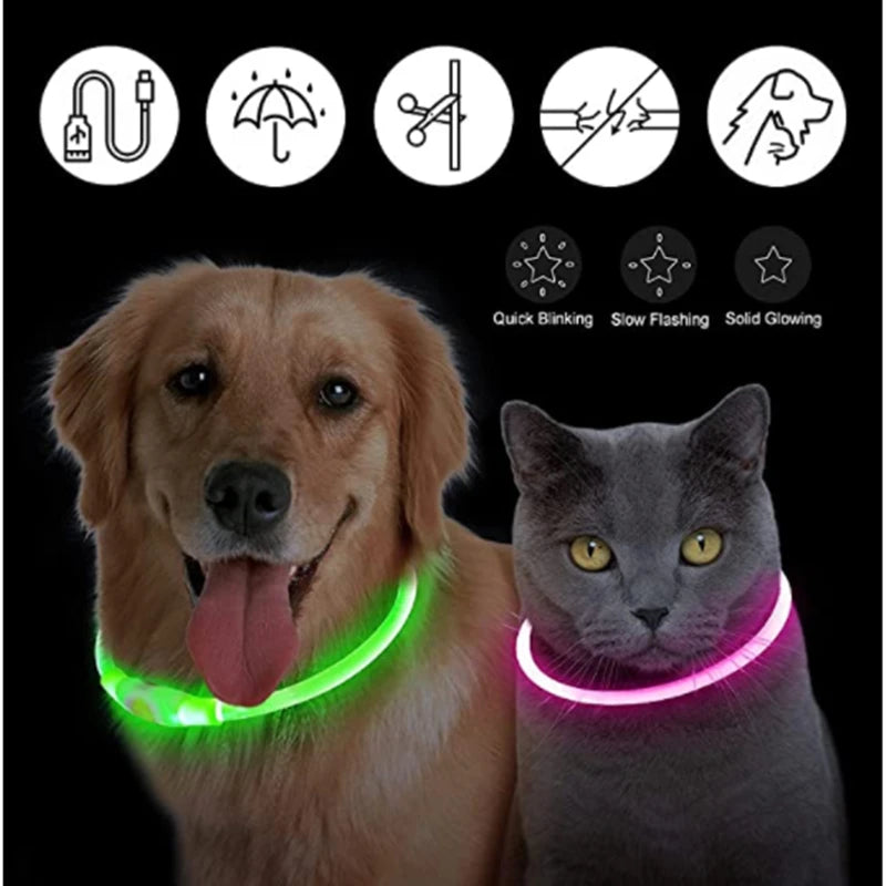 NightGlow Pet Collar