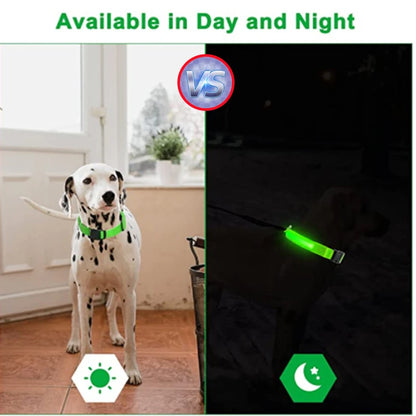 NightGlow Pet Collar