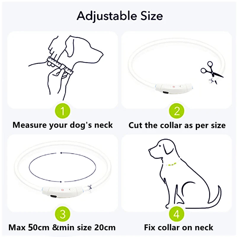 NightGlow Pet Collar