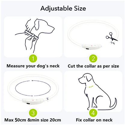 NightGlow Pet Collar