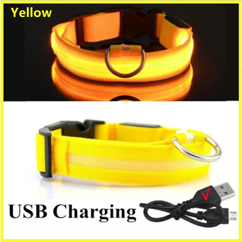 NightGlow Pet Collar