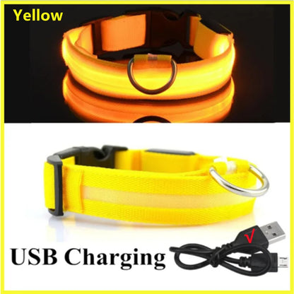 NightGlow Pet Collar