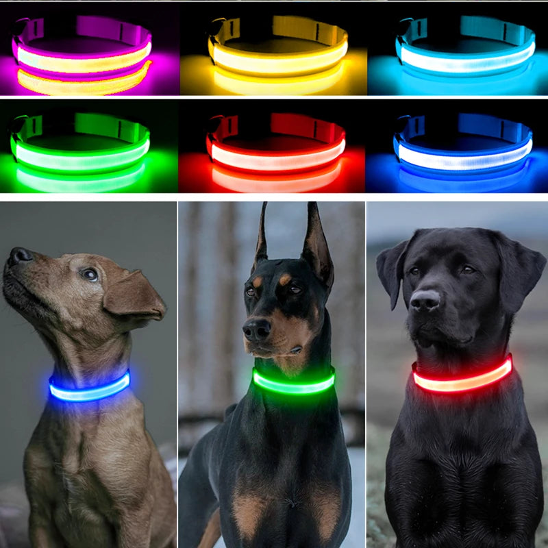 NightGlow Pet Collar