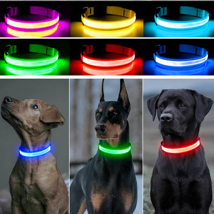 NightGlow Pet Collar