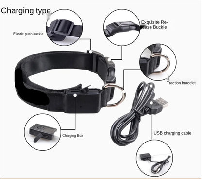 NightGlow Pet Collar