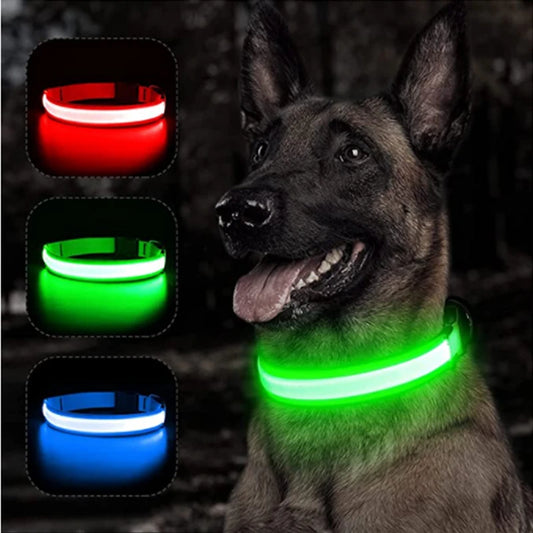 NightGlow Pet Collar