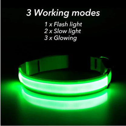 NightGlow Pet Collar