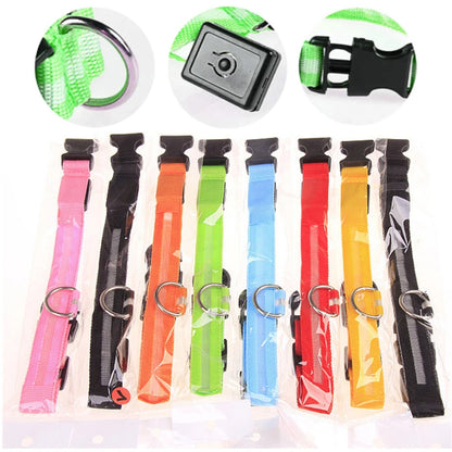 NightGlow Pet Collar