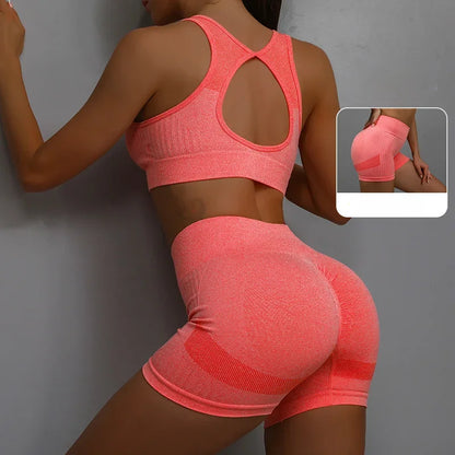 Curves Sculpt Set