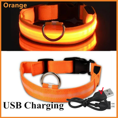 NightGlow Pet Collar