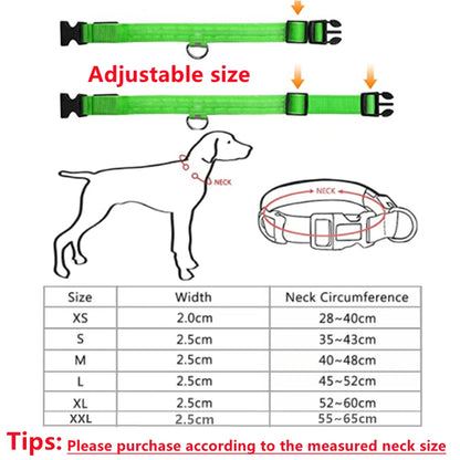 NightGlow Pet Collar