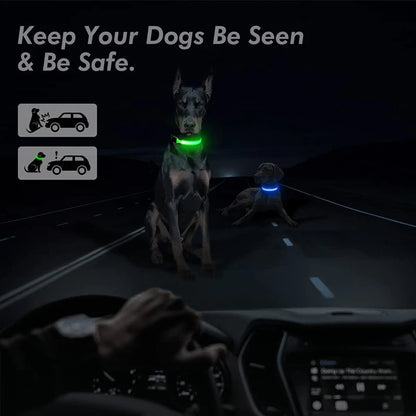 NightGlow Pet Collar